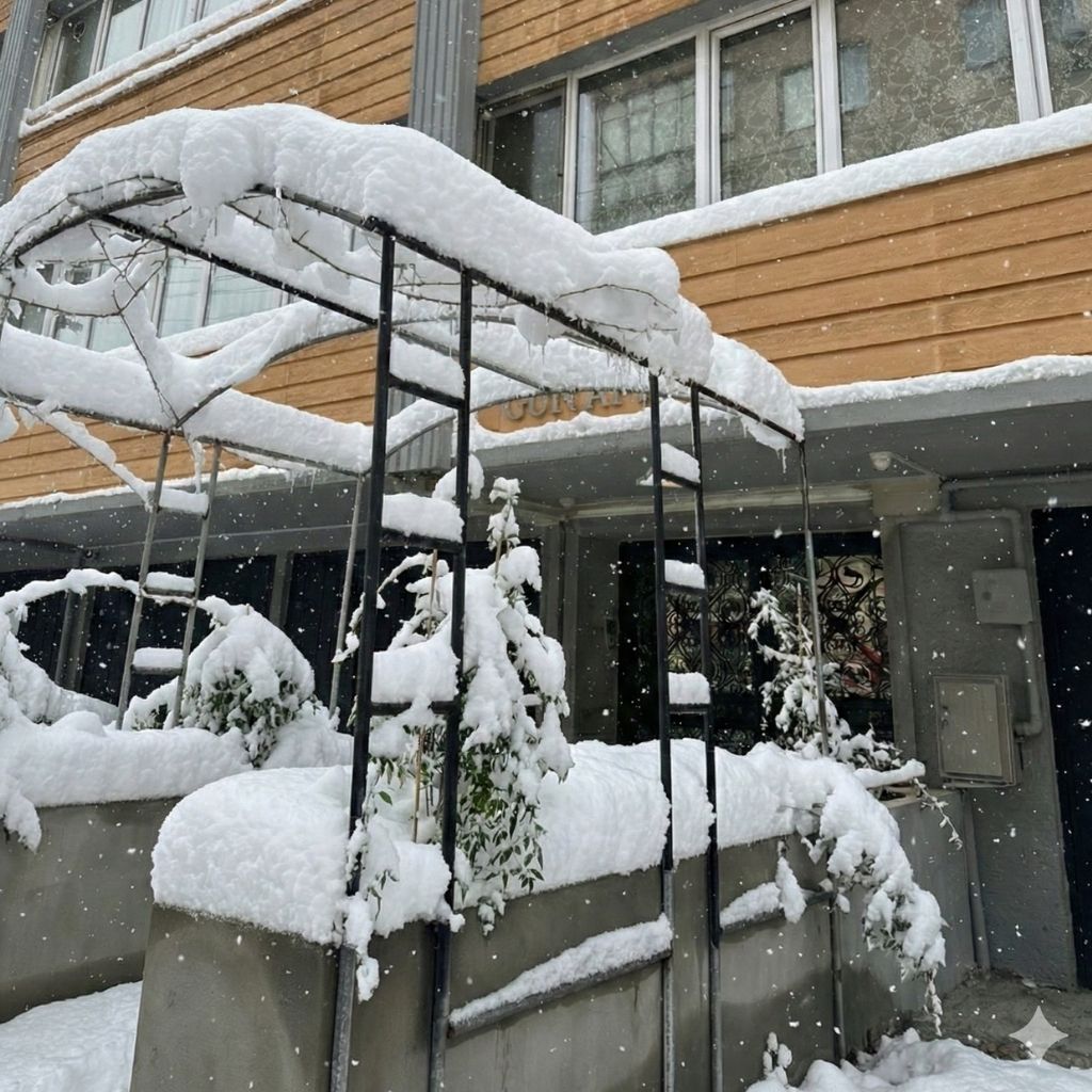 Otantik terapi alanı